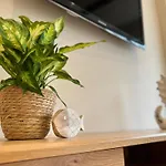 El Rincón De San Lorenzo-subirats Apartamento Gijón