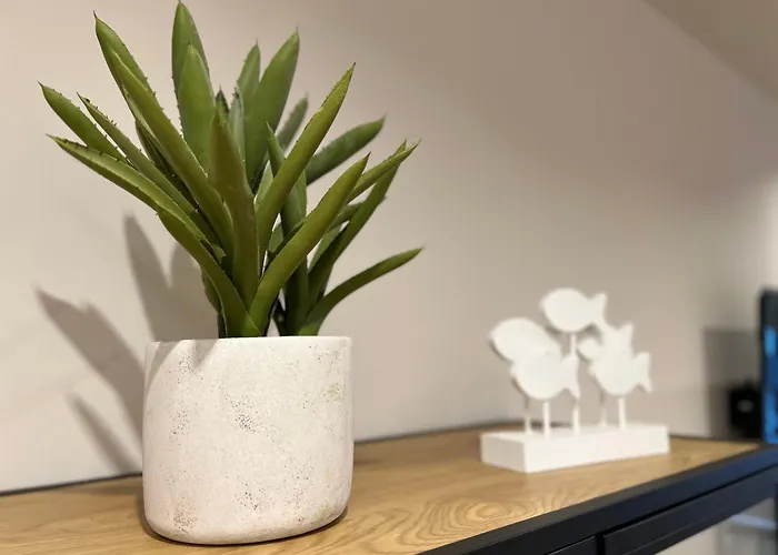 Apartamento El Rincón De San Lorenzo-subirats Gijón